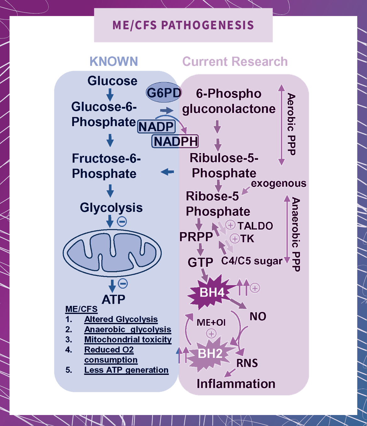 Flow chart of MECFS pathogenesis